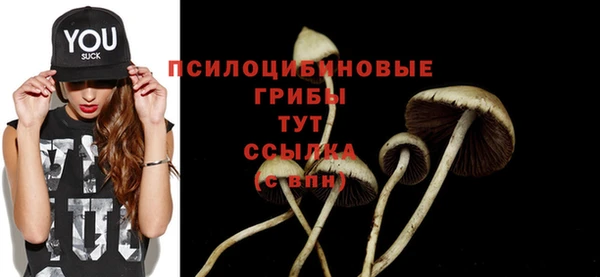 jwh Арсеньев