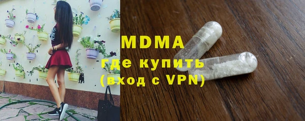 индика Алексин
