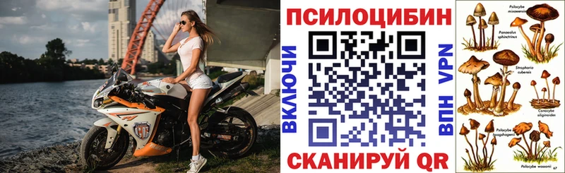 как найти наркотики  Ельня  Галлюциногенные грибы ЛСД 